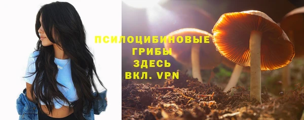мескалин Белокуриха