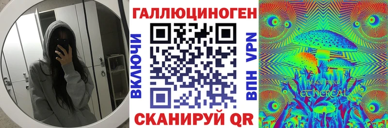 Псилоцибиновые грибы Psilocybe  Заволжье 